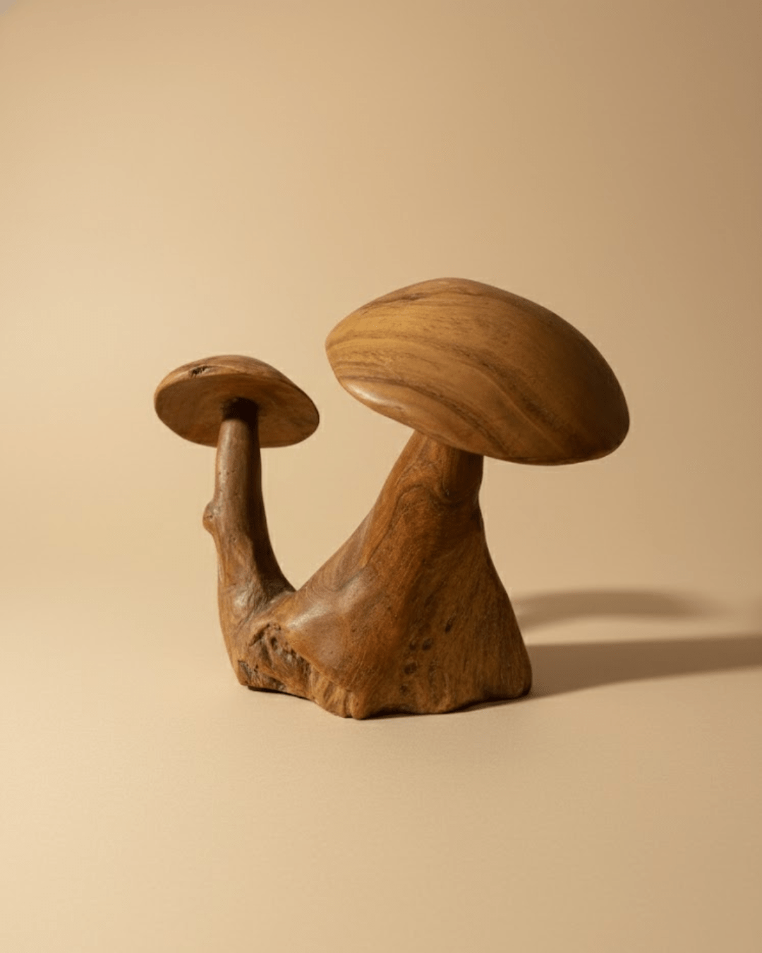 Déco Double Champignons Sculpté Vernis (AN19) – Image 2