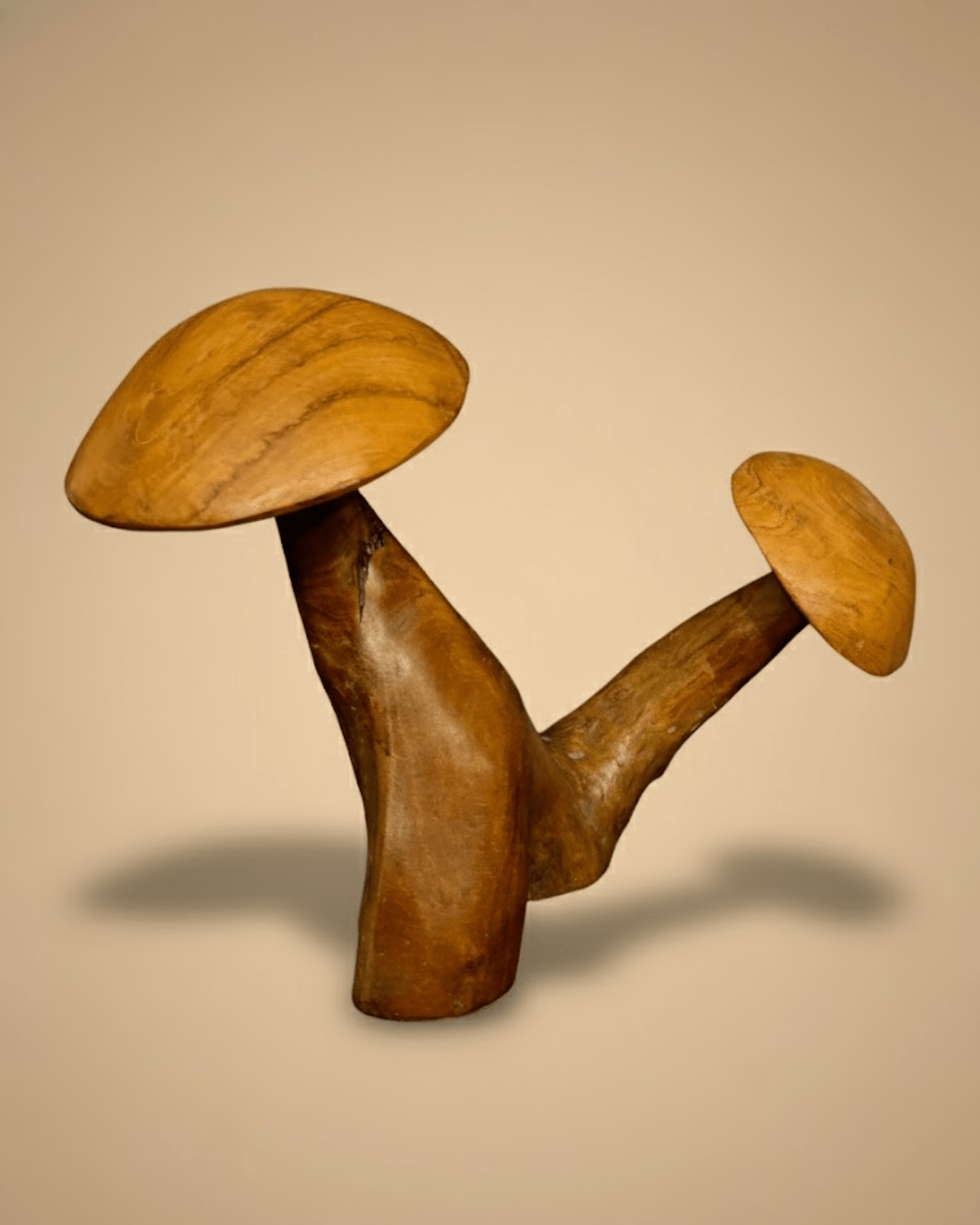 Déco Double Champignons Sculpté Vernis (AN19) – Image 3