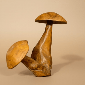 Déco Double Champignons Sculpté Vernis (AN19)