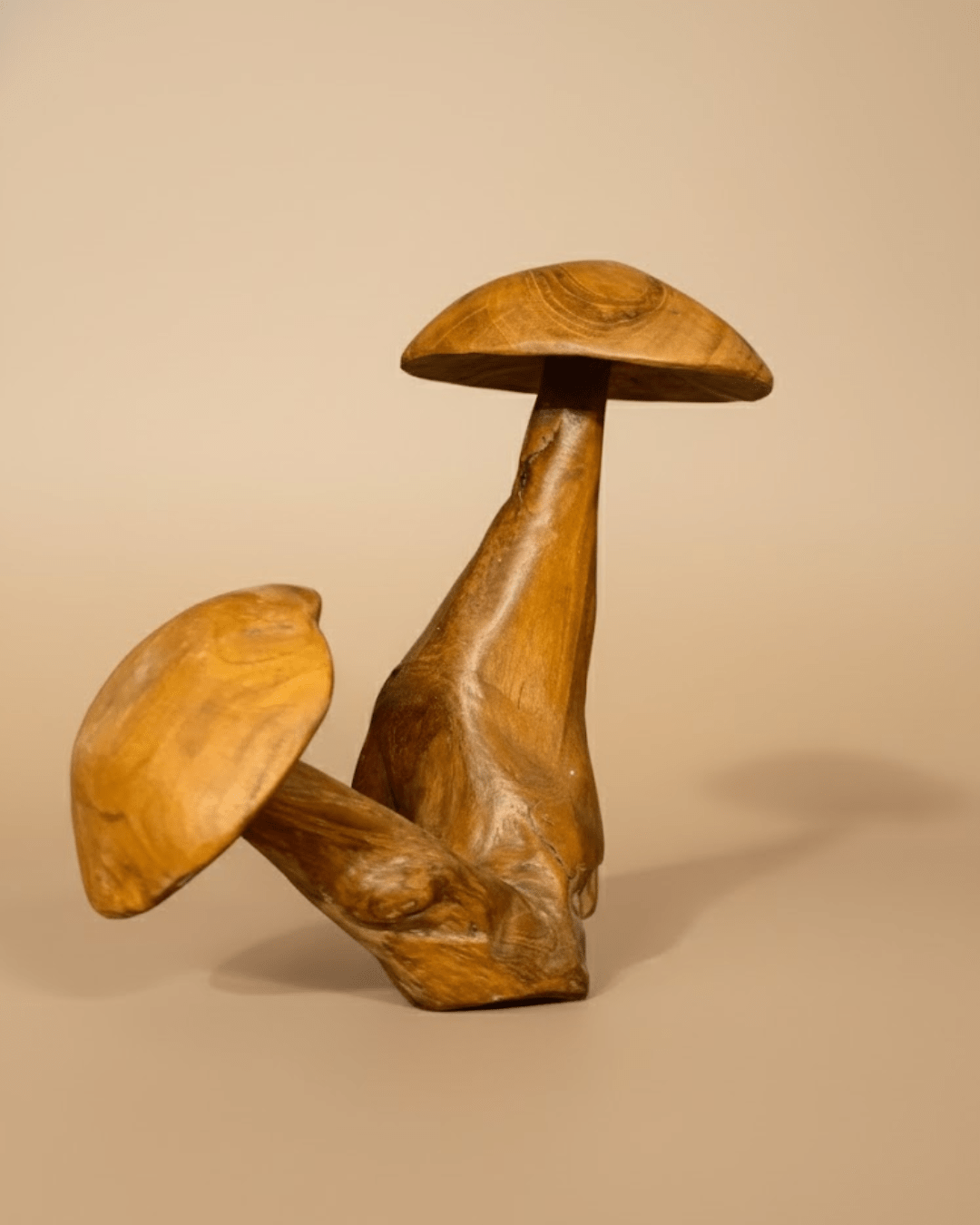 Déco Double Champignons Sculpté Vernis (AN19)